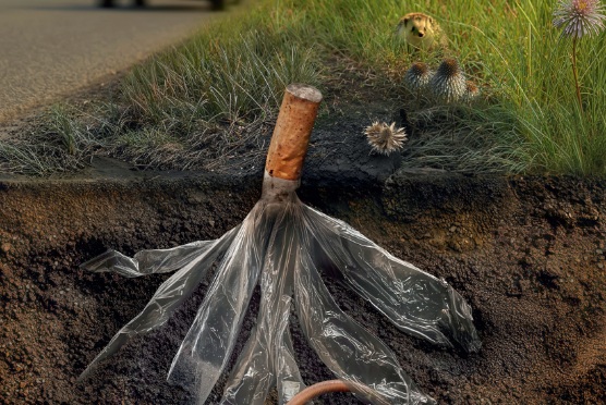 un mégot c’est du plastique